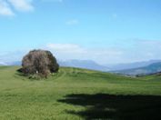 Beautiful countryside on the way that day.